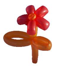 Balloon Flower